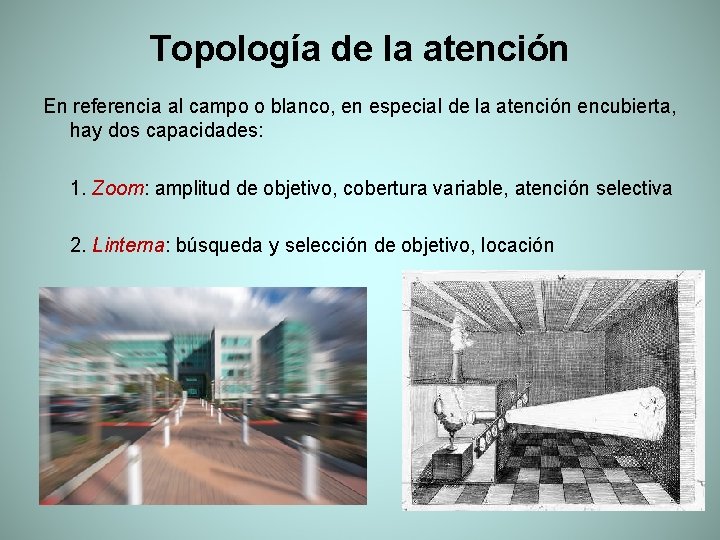 Topología de la atención En referencia al campo o blanco, en especial de la