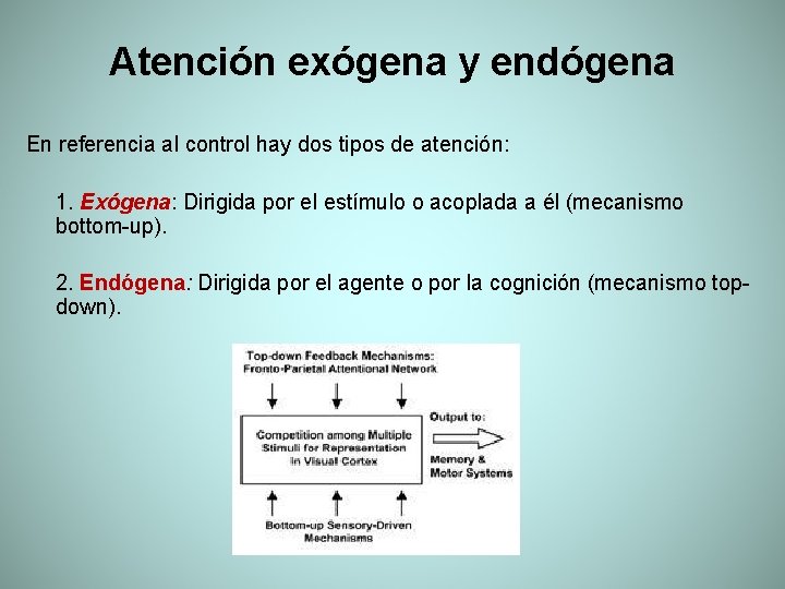 Atención exógena y endógena En referencia al control hay dos tipos de atención: 1.