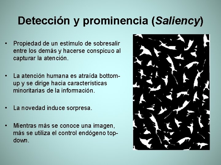 Detección y prominencia (Saliency) • Propiedad de un estímulo de sobresalir entre los demás