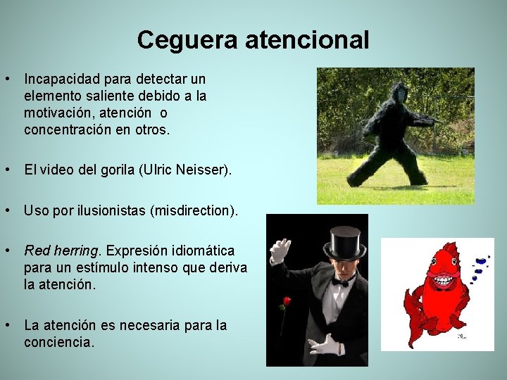 Ceguera atencional • Incapacidad para detectar un elemento saliente debido a la motivación, atención