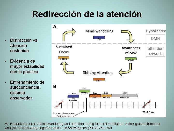 Redirección de la atención • Distracción vs. Atención sostenida • Evidencia de mayor estabilidad