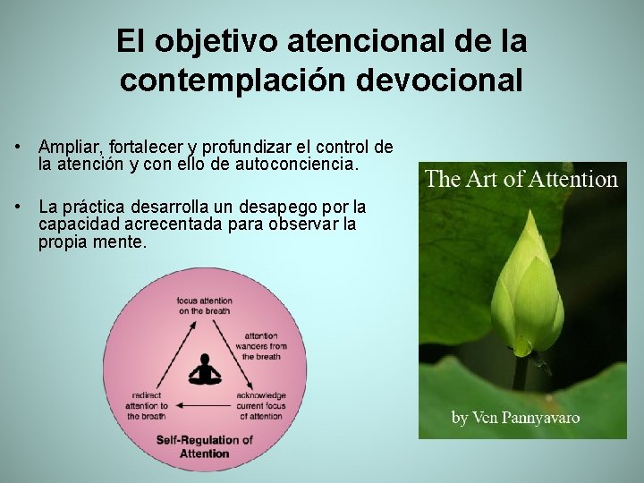 El objetivo atencional de la contemplación devocional • Ampliar, fortalecer y profundizar el control
