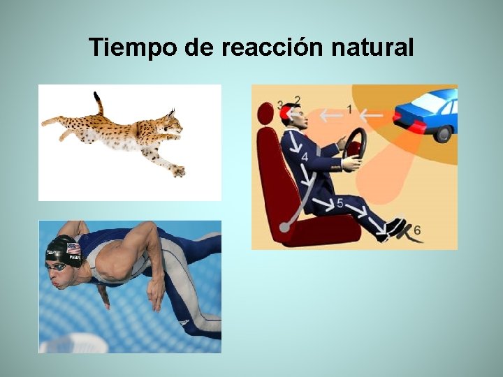 Tiempo de reacción natural 