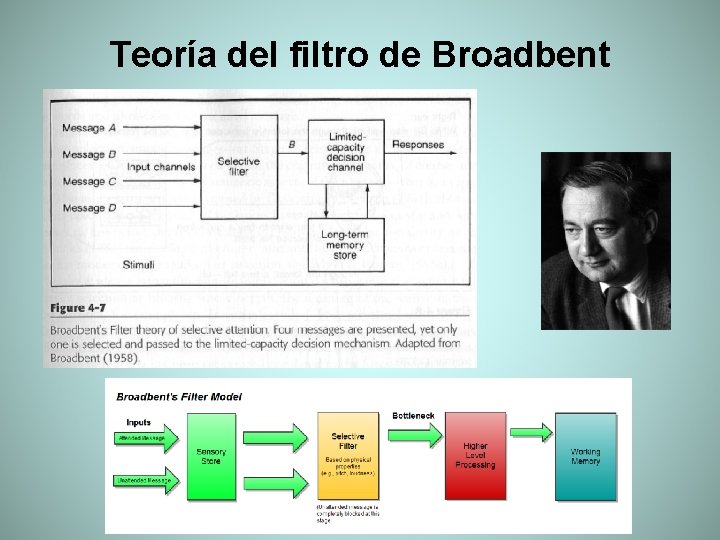 Teoría del filtro de Broadbent 