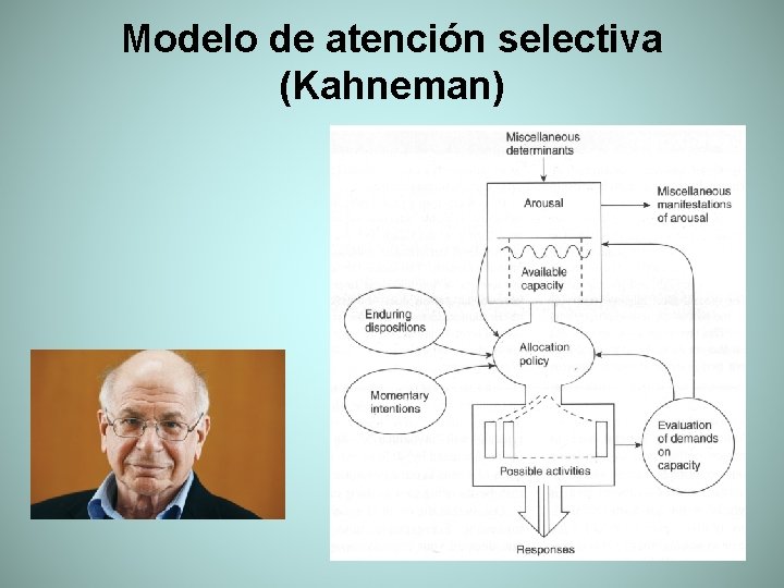 Modelo de atención selectiva (Kahneman) 