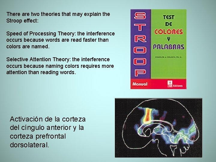 There are two theories that may explain the Stroop effect: Speed of Processing Theory: