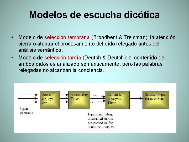 Modelos de escucha dicótica • Modelo de selección temprana (Broadbent & Treisman): la atención