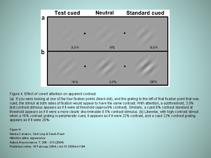 Figure 4. Effect of covert attention on apparent contrast. (a) If you were looking