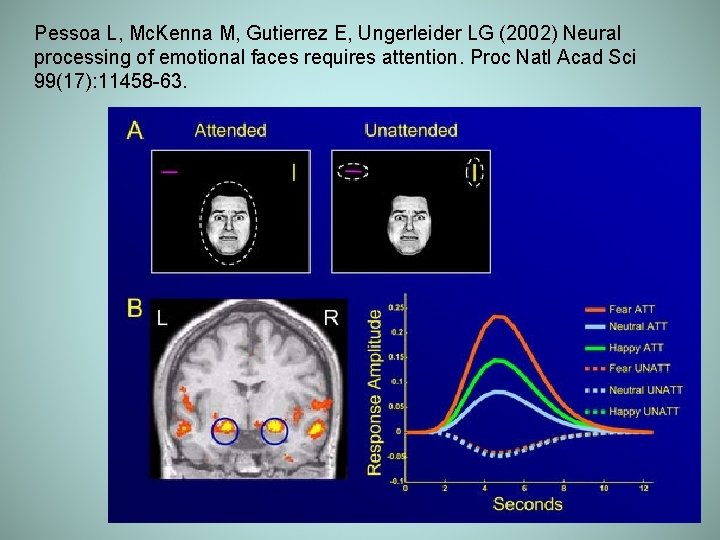 Pessoa L, Mc. Kenna M, Gutierrez E, Ungerleider LG (2002) Neural processing of emotional