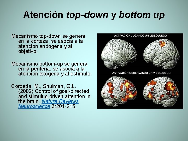 Atención top-down y bottom up Mecanismo top-down se genera en la corteza, se asocia