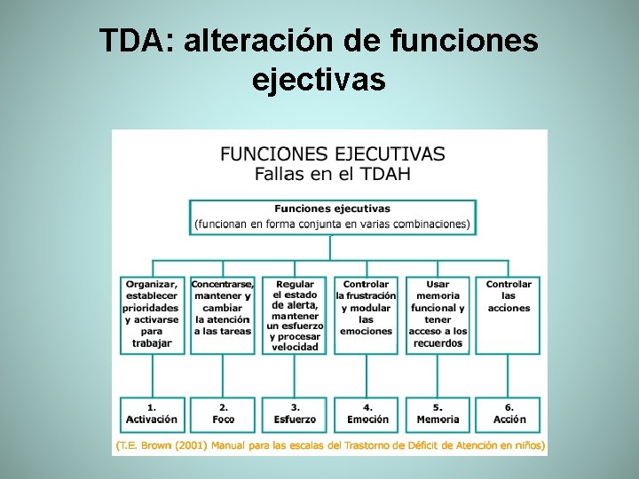 TDA: alteración de funciones ejectivas 