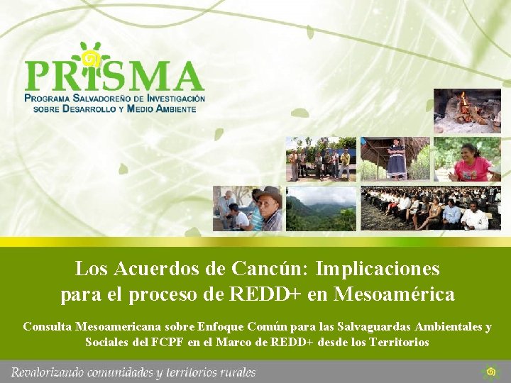 Los Acuerdos de Cancún: Implicaciones para el proceso de REDD+ en Mesoamérica Consulta Mesoamericana