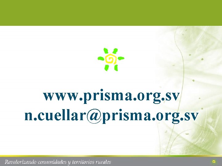 www. prisma. org. sv n. cuellar@prisma. org. sv 