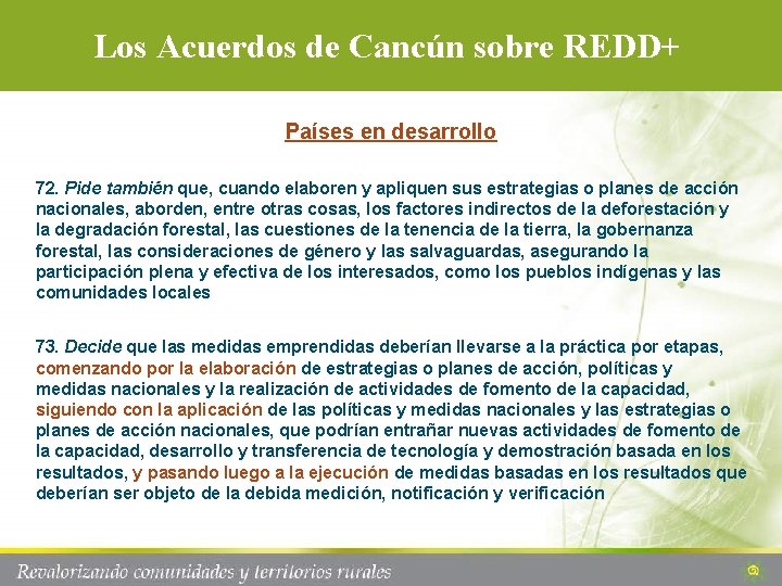 Los Acuerdos de Cancún sobre REDD+ Países en desarrollo 72. Pide también que, cuando