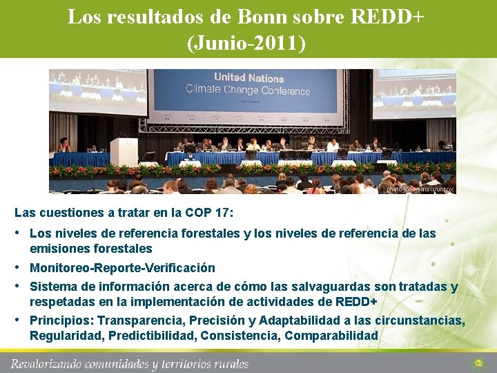 Los resultados de Bonn sobre REDD+ (Junio-2011) Las cuestiones a tratar en la COP