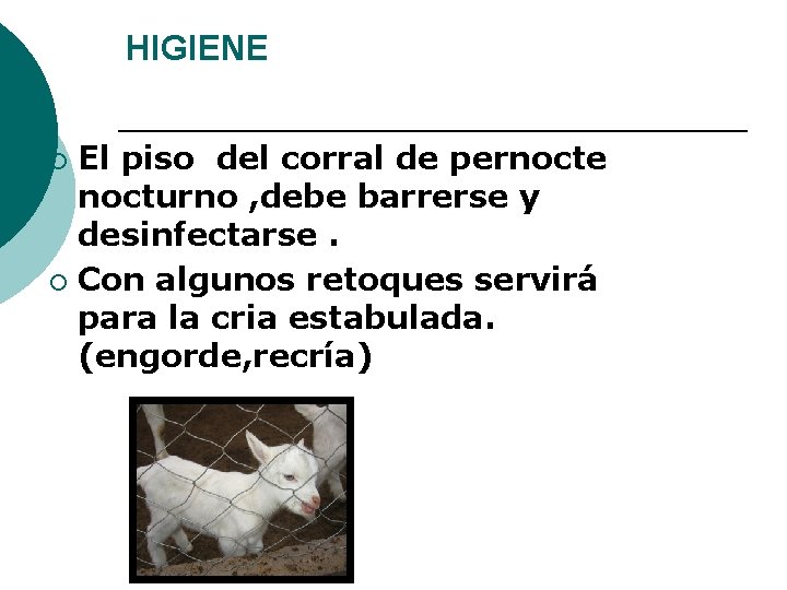 HIGIENE El piso del corral de pernocte nocturno , debe barrerse y desinfectarse. ¡