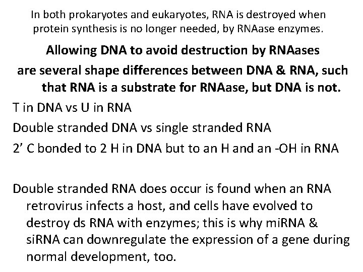 In both prokaryotes and eukaryotes, RNA is destroyed when protein synthesis is no longer