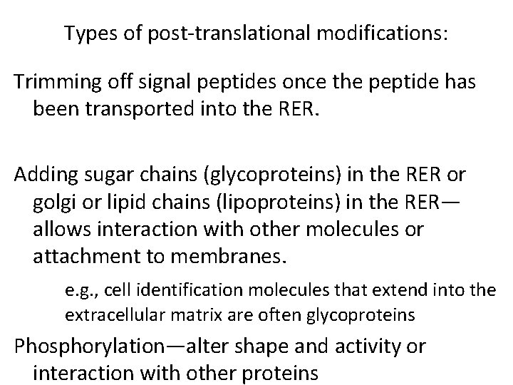 Types of post-translational modifications: Trimming off signal peptides once the peptide has been transported