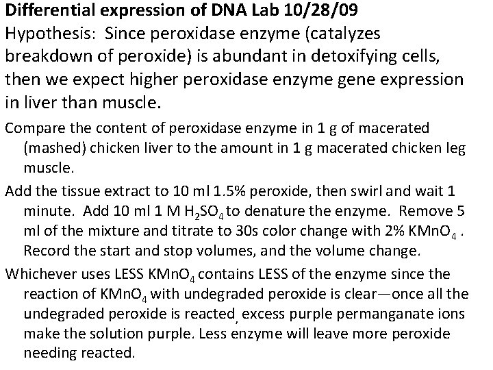 Differential expression of DNA Lab 10/28/09 Hypothesis: Since peroxidase enzyme (catalyzes breakdown of peroxide)