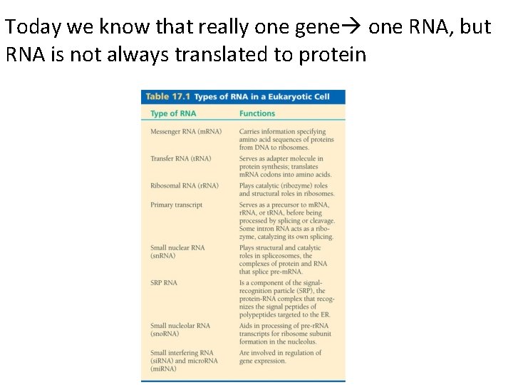 Today we know that really one gene one RNA, but RNA is not always