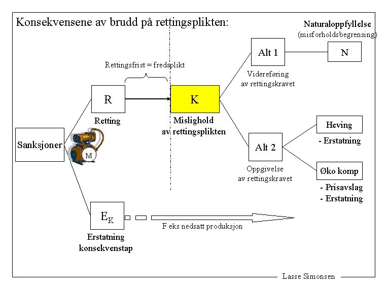 Konsekvensene av brudd på rettingsplikten: Naturaloppfyllelse (misforholdsbegrensing) N Alt 1 Rettingsfrist = fredsplikt Videreføring