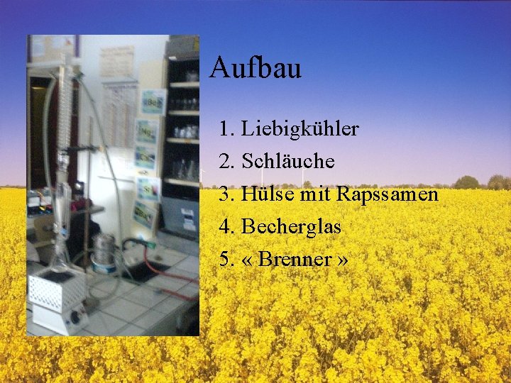 Aufbau 1. Liebigkühler 2. Schläuche 3. Hülse mit Rapssamen 4. Becherglas 5. « Brenner