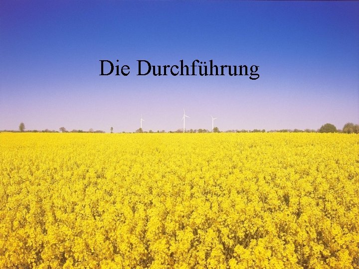 Die Durchführung 