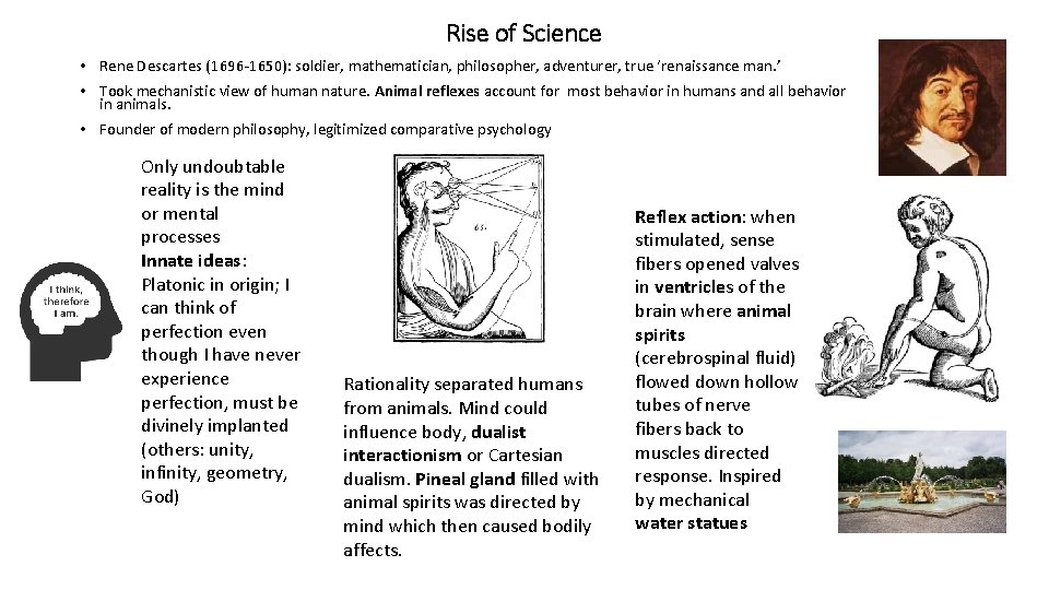 Rise of Science • Rene Descartes (1696 -1650): soldier, mathematician, philosopher, adventurer, true ‘renaissance Rise of Science • Rene Descartes (1696 -1650): soldier, mathematician, philosopher, adventurer, true ‘renaissance