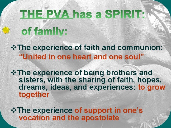 v. The experience of faith and communion: “United in one heart and one soul”