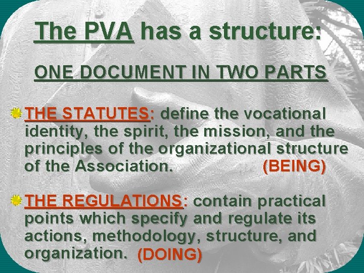 The PVA has a structure: ONE DOCUMENT IN TWO PARTS THE STATUTES: define the