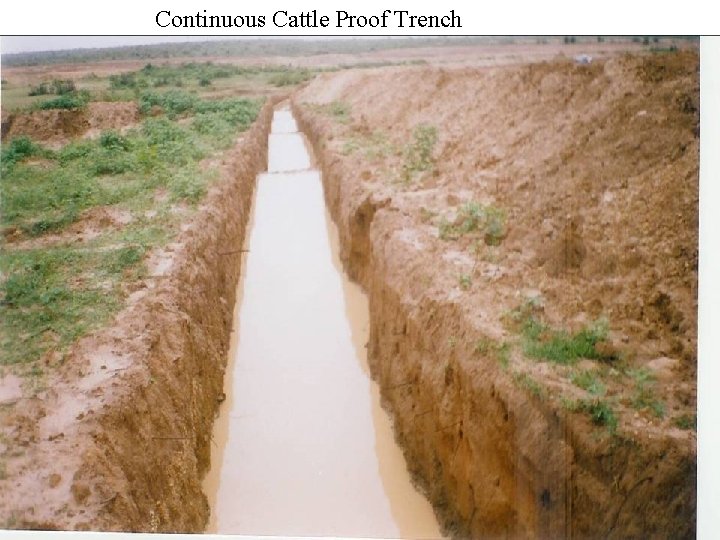 Continuous Cattle Proof Trench 