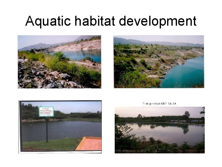 Aquatic habitat development 