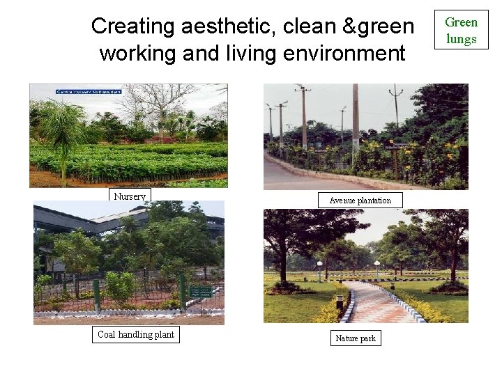 Creating aesthetic, clean &green working and living environment Nursery Coal handling plant Avenue plantation