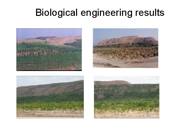 Biological engineering results 