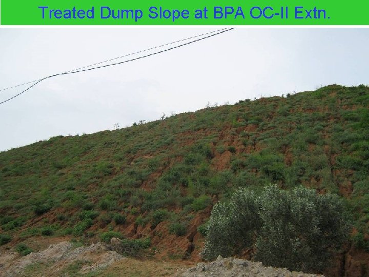 Treated Dump Slope at BPA OC-II Extn. 
