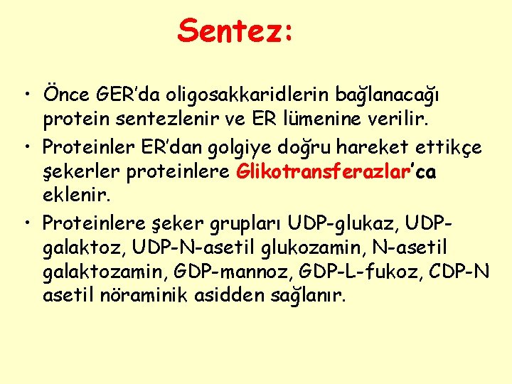 Sentez: • Önce GER’da oligosakkaridlerin bağlanacağı protein sentezlenir ve ER lümenine verilir. • Proteinler