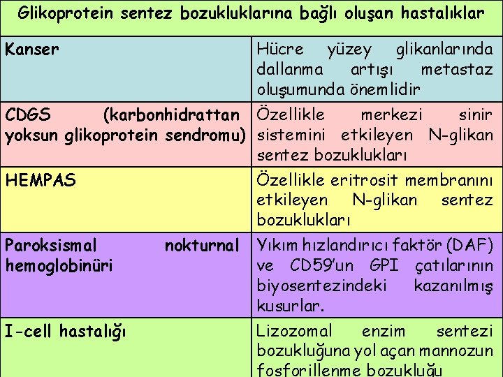 Glikoprotein sentez bozukluklarına bağlı oluşan hastalıklar Kanser Hücre yüzey glikanlarında dallanma artışı metastaz oluşumunda