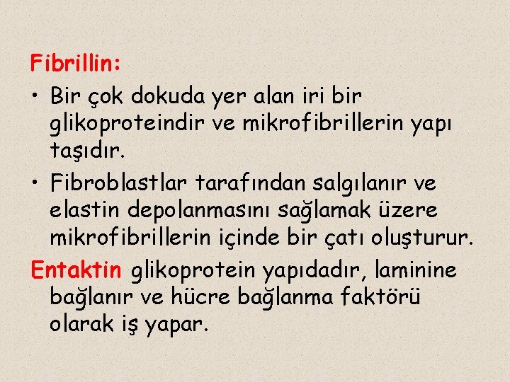 Fibrillin: • Bir çok dokuda yer alan iri bir glikoproteindir ve mikrofibrillerin yapı taşıdır.