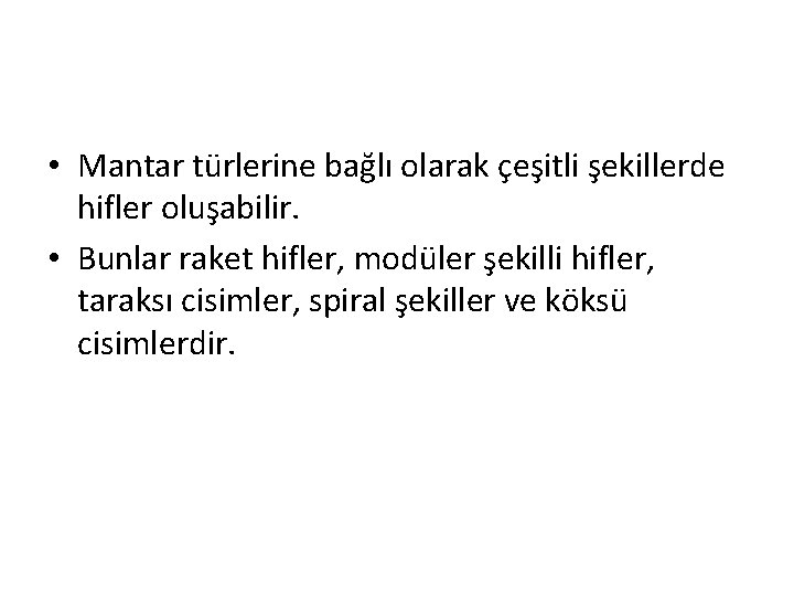  • Mantar türlerine bağlı olarak çeşitli şekillerde hifler oluşabilir. • Bunlar raket hifler,