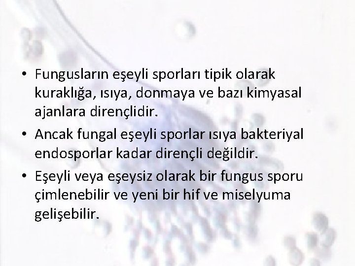  • Fungusların eşeyli sporları tipik olarak kuraklığa, ısıya, donmaya ve bazı kimyasal ajanlara