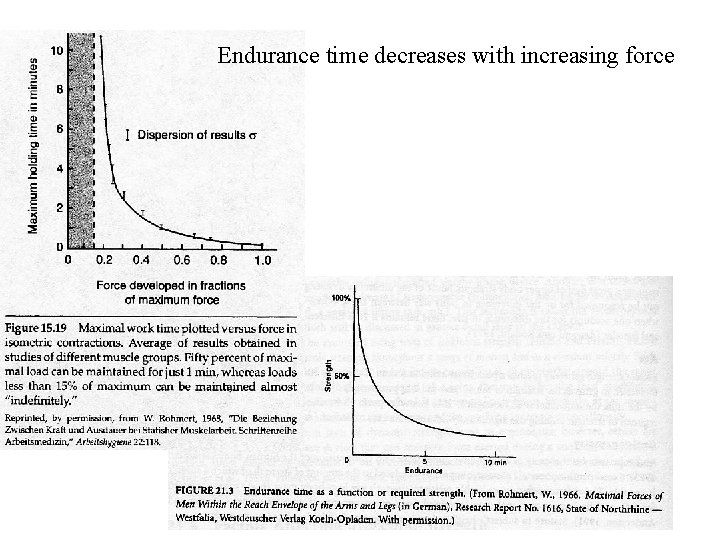Endurance time decreases with increasing force 15 