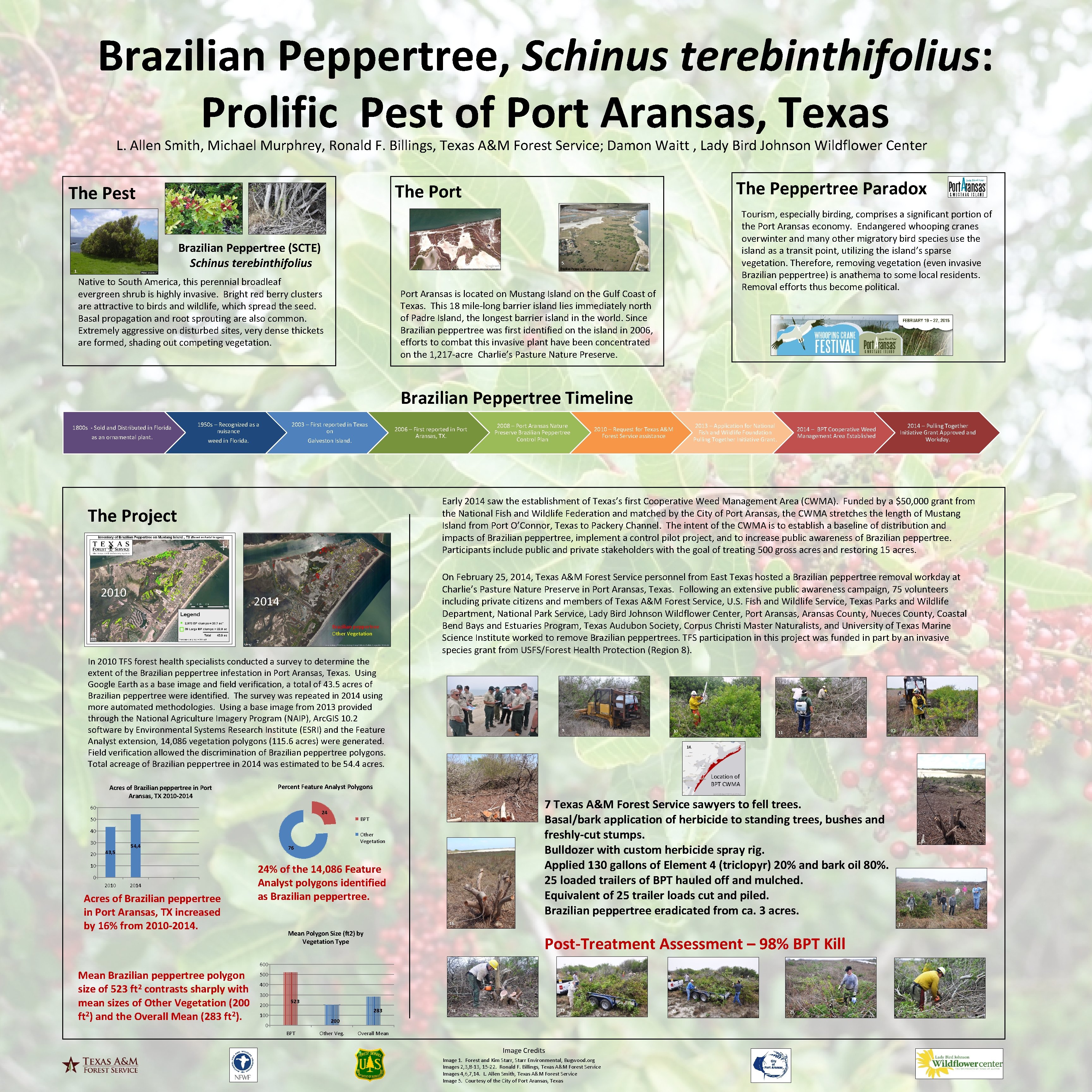 Brazilian Peppertree, Schinus terebinthifolius: Prolific Pest of Port Aransas, Texas L. Allen Smith, Michael