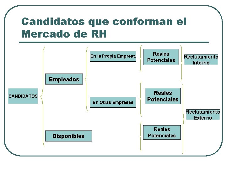 Candidatos que conforman el Mercado de RH En la Propia Empresa Reales Potenciales Reclutamiento