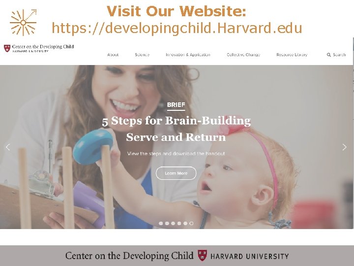 Visit Our Website: https: //developingchild. Harvard. edu 
