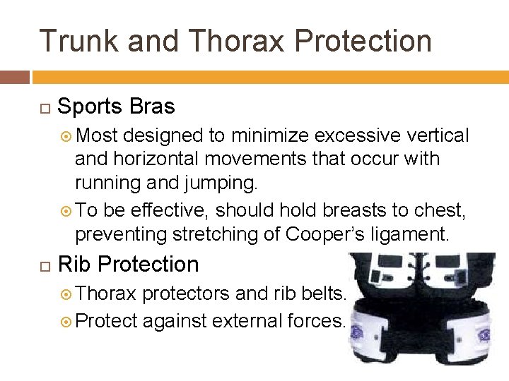 Trunk and Thorax Protection Sports Bras Most designed to minimize excessive vertical and horizontal