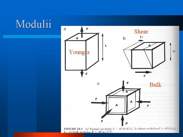 Modulii Shear Young’s Bulk 