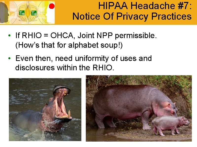 HIPAA Headache #7: Notice Of Privacy Practices • If RHIO = OHCA, Joint NPP