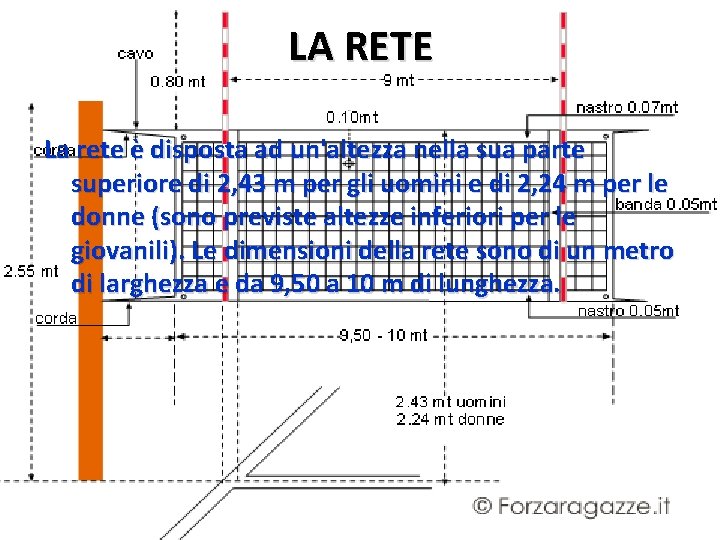 LA RETE La rete è disposta ad un'altezza nella sua parte superiore di 2,