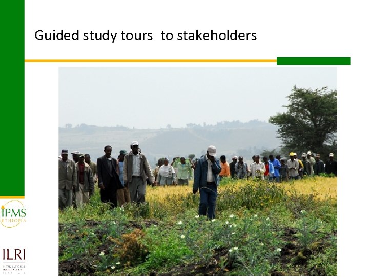 Guided study tours to stakeholders 