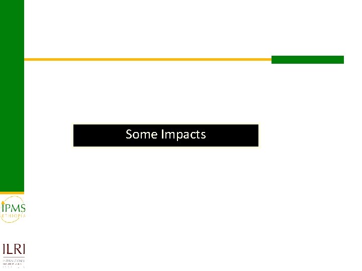 Some Impacts 